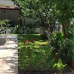 Santo * אקיאקה