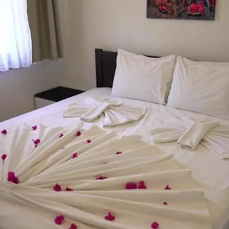 Santo * アクヤカ