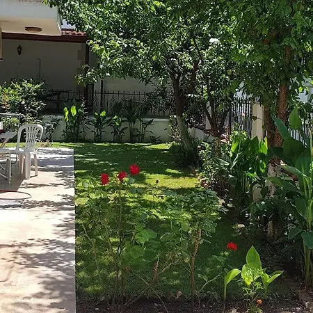 Santo * アクヤカ