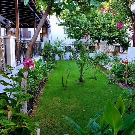 Santo * アクヤカ