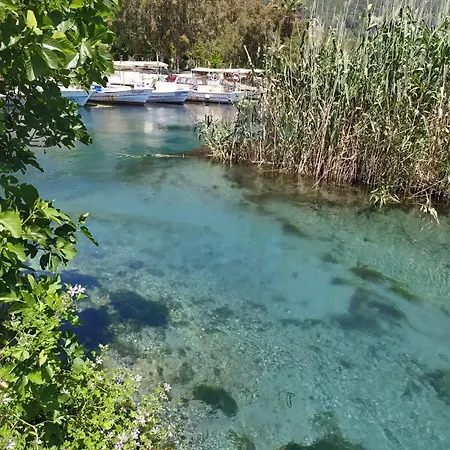 Santo * Akyaka (Mugla)