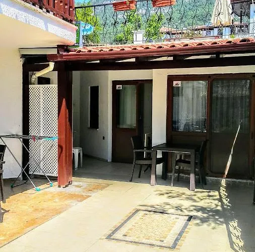 Santo * 아키아카