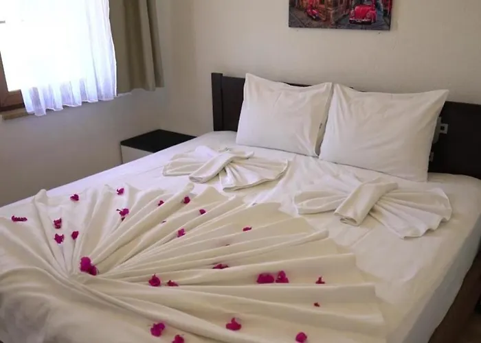 Santo * 아키아카