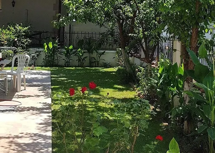 Santo * 아키아카