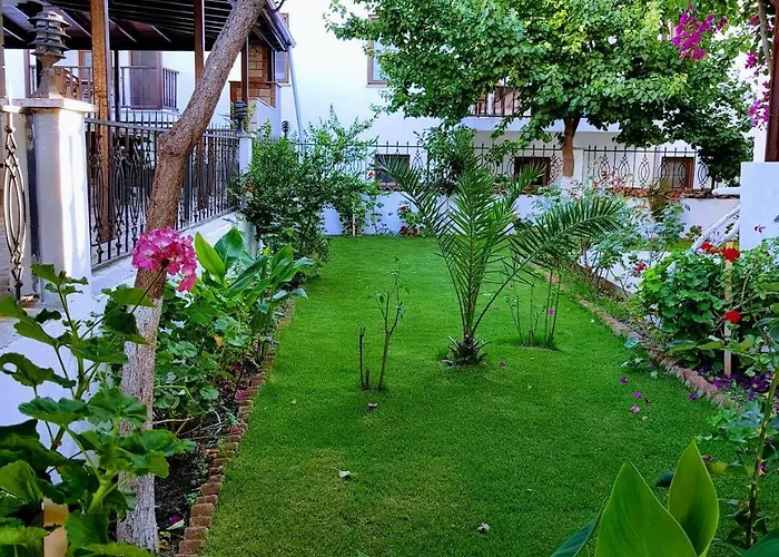 Santo * 아키아카