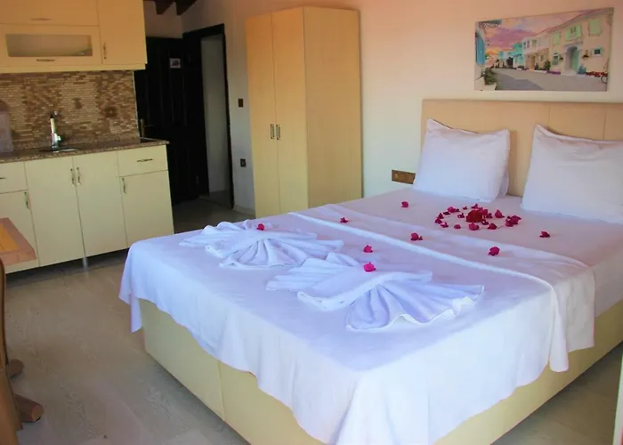 Santo * 아키아카